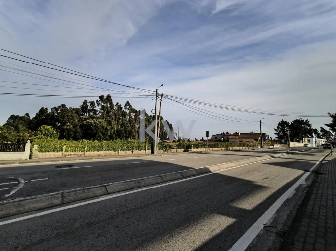Terreno para Venda em Albergaria-A-Velha e Valmaior Foto 11
