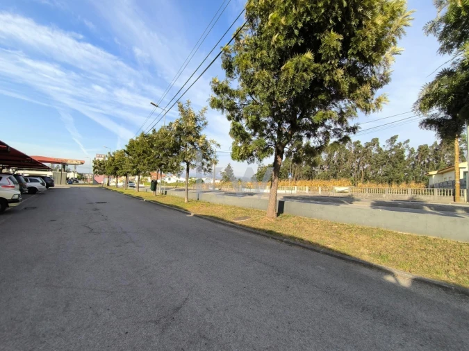 Terreno para Venda em Albergaria-A-Velha e Valmaior Foto 2