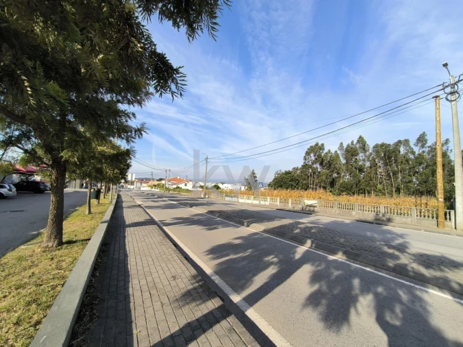 Terreno para Venda em Albergaria-A-Velha e Valmaior Foto 6