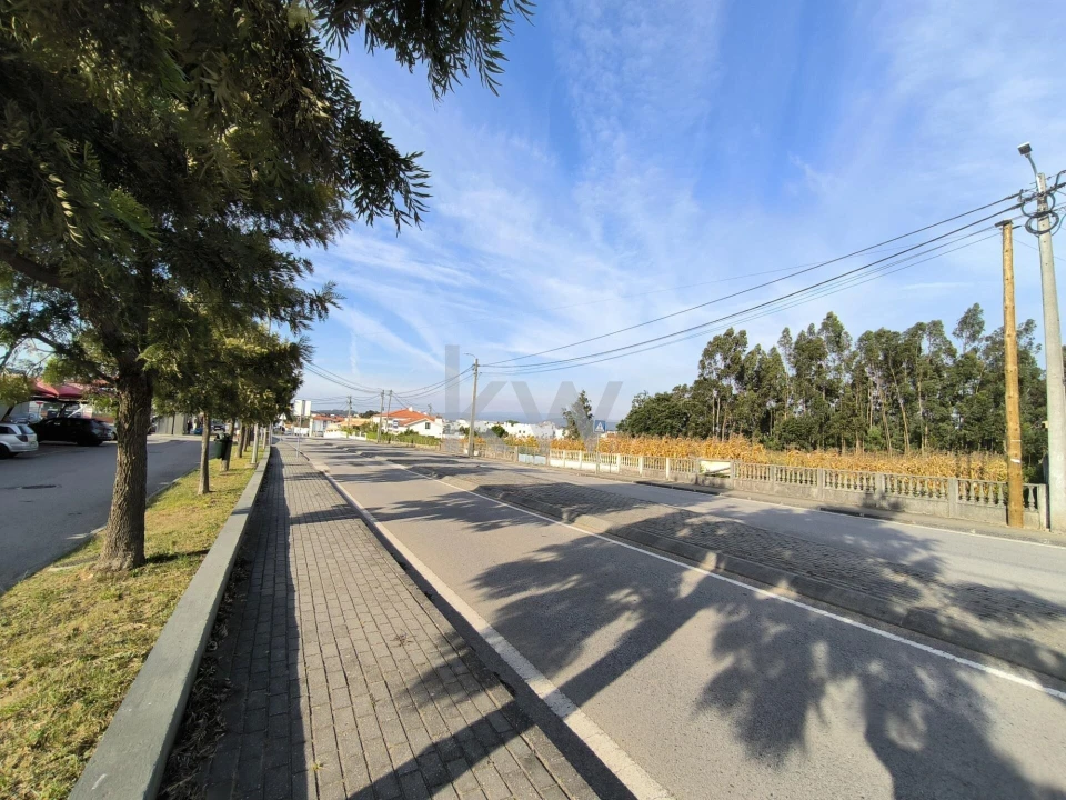 Terreno para Venda em Albergaria-A-Velha e Valmaior Foto 6
