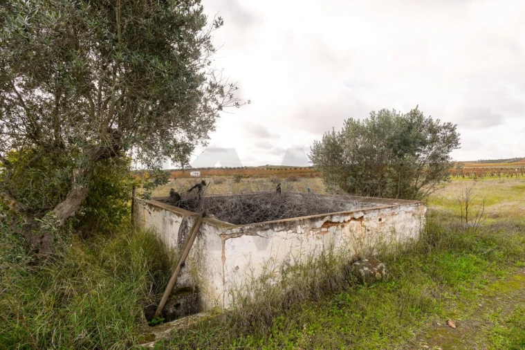 Quinta T3 para Venda em Reguengos de Monsaraz Foto 10