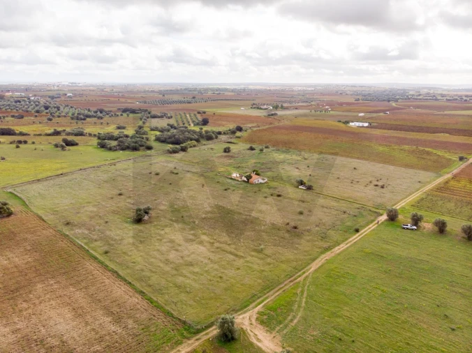 Quinta T3 para Venda em Reguengos de Monsaraz Foto 22