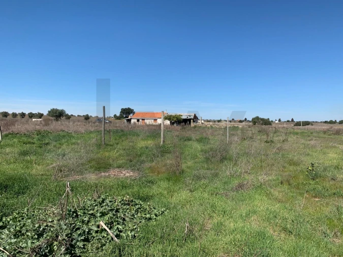 Quinta T3 para Venda em Reguengos de Monsaraz Foto 24