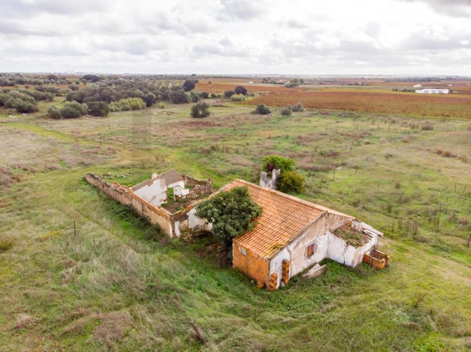 Quinta T3 para Venda em Reguengos de Monsaraz Foto 13