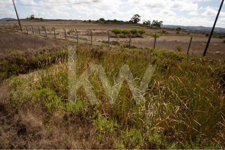 Terreno para Venda em Santa Maria e São Miguel, São Martinho, São Pedro Penaferrim Foto 10