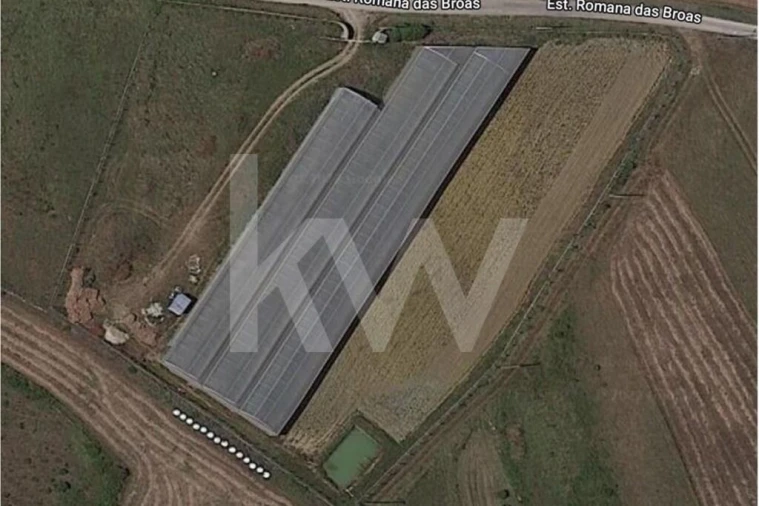 Terreno para Venda em Santa Maria e São Miguel, São Martinho, São Pedro Penaferrim Foto 26