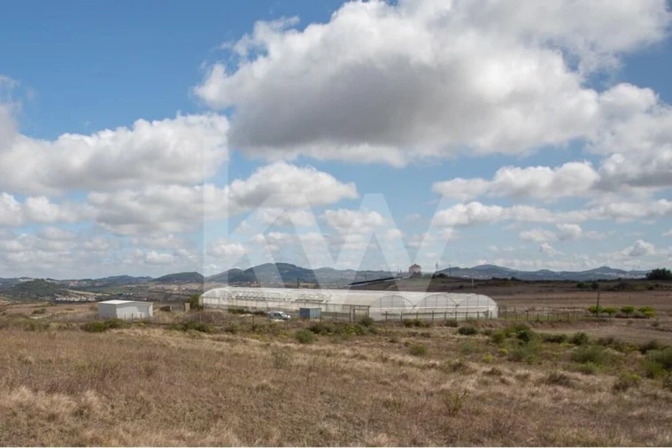 Terreno para Venda em Santa Maria e São Miguel, São Martinho, São Pedro Penaferrim Foto 25