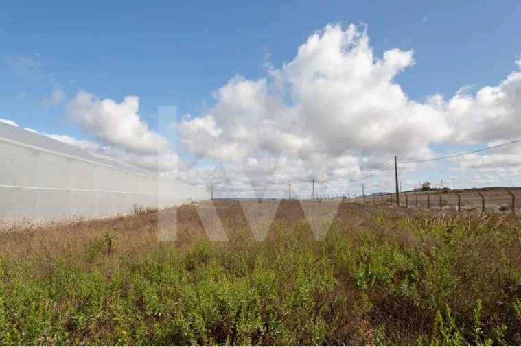 Terreno para Venda em Santa Maria e São Miguel, São Martinho, São Pedro Penaferrim Foto 11
