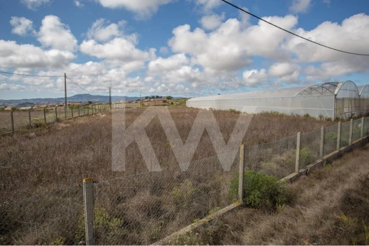 Terreno para Venda em Santa Maria e São Miguel, São Martinho, São Pedro Penaferrim Foto 24