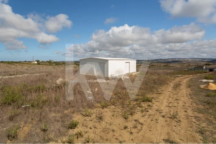 Terreno para Venda em Santa Maria e São Miguel, São Martinho, São Pedro Penaferrim Foto 14