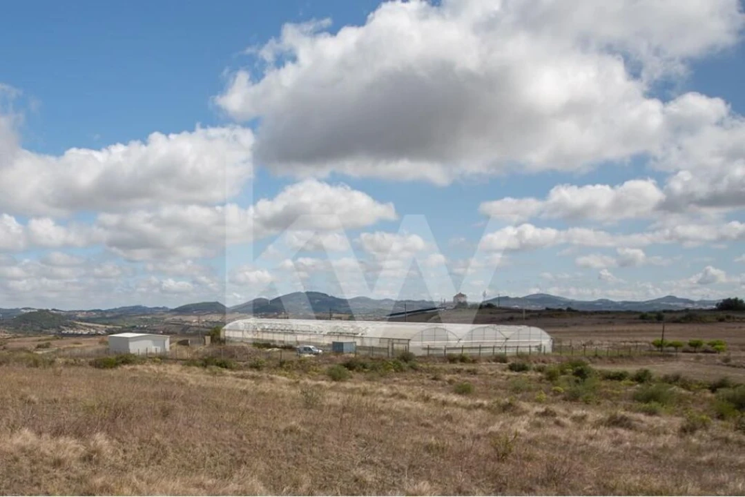 Terreno para Venda em Santa Maria e São Miguel, São Martinho, São Pedro Penaferrim Foto 25