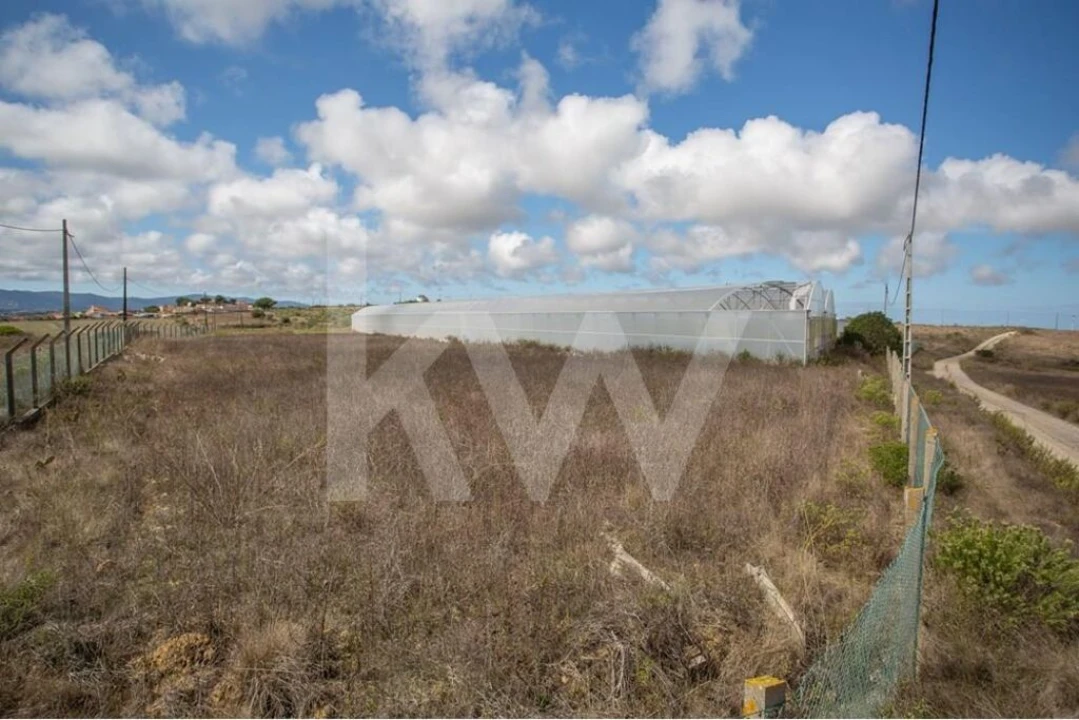 Terreno para Venda em Santa Maria e São Miguel, São Martinho, São Pedro Penaferrim Foto 23