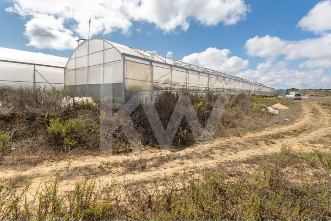 Terreno para Venda em Santa Maria e São Miguel, São Martinho, São Pedro Penaferrim Foto 15