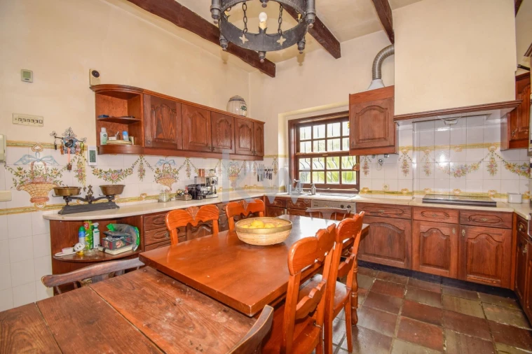 Quinta T5 para Venda em Azeitão (São Lourenço e São Simão) Foto 12