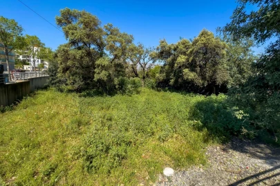 Terreno para Venda em Loule (São Clemente)
