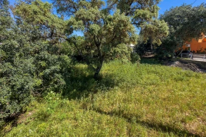 Terreno para Venda em Loule (São Clemente)