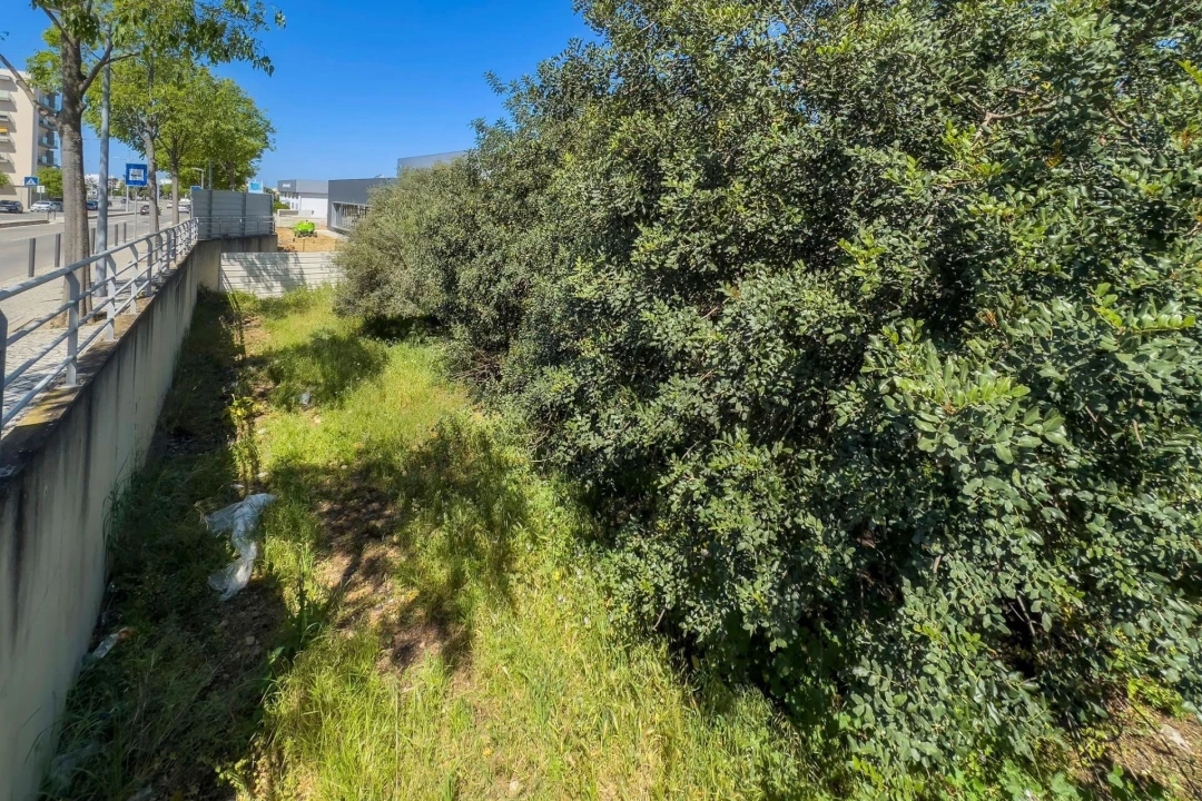 Terreno para Venda em Loule (São Clemente) Foto 19