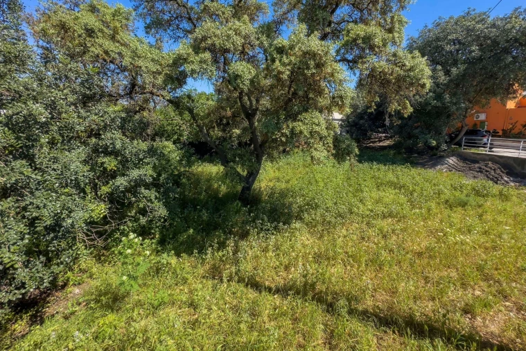 Terreno para Venda em Loule (São Clemente) Foto 18
