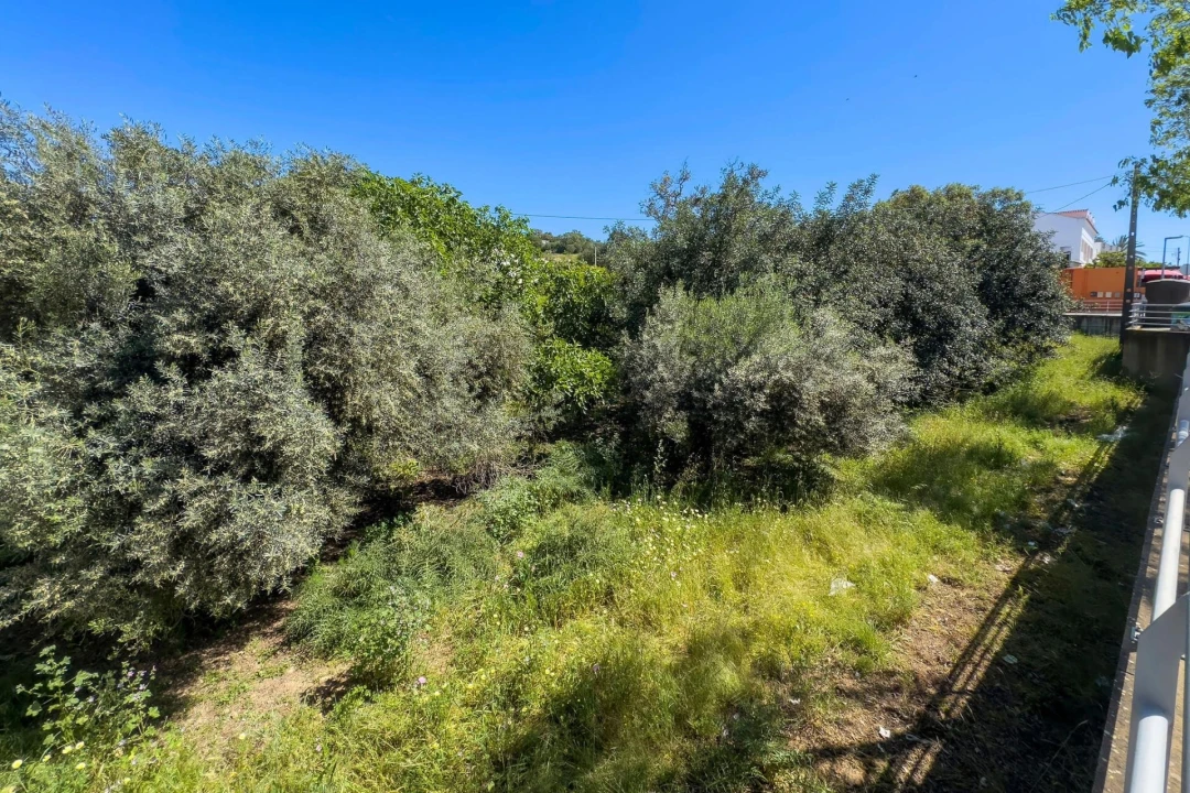 Terreno para Venda em Loule (São Clemente) Foto 23