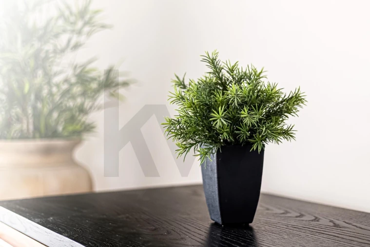 Moradia T5 para Venda em Algoz e Tunes Foto 11