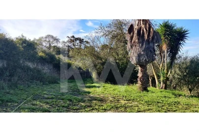 Terreno para Venda em Palmela