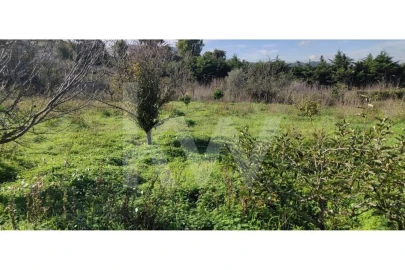 Terreno para Venda em Palmela