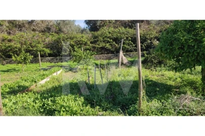 Terreno para Venda em Palmela