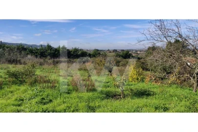 Terreno para Venda em Palmela