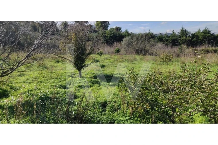 Terreno para Venda em Palmela Foto 13