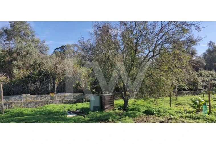 Terreno para Venda em Palmela Foto 11
