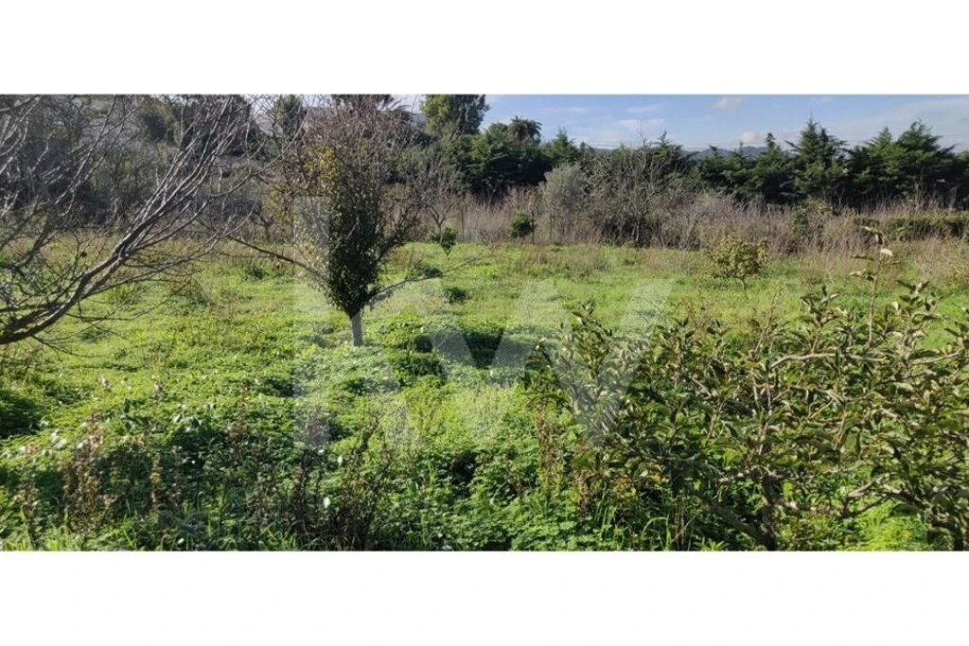 Terreno para Venda em Palmela Foto 13