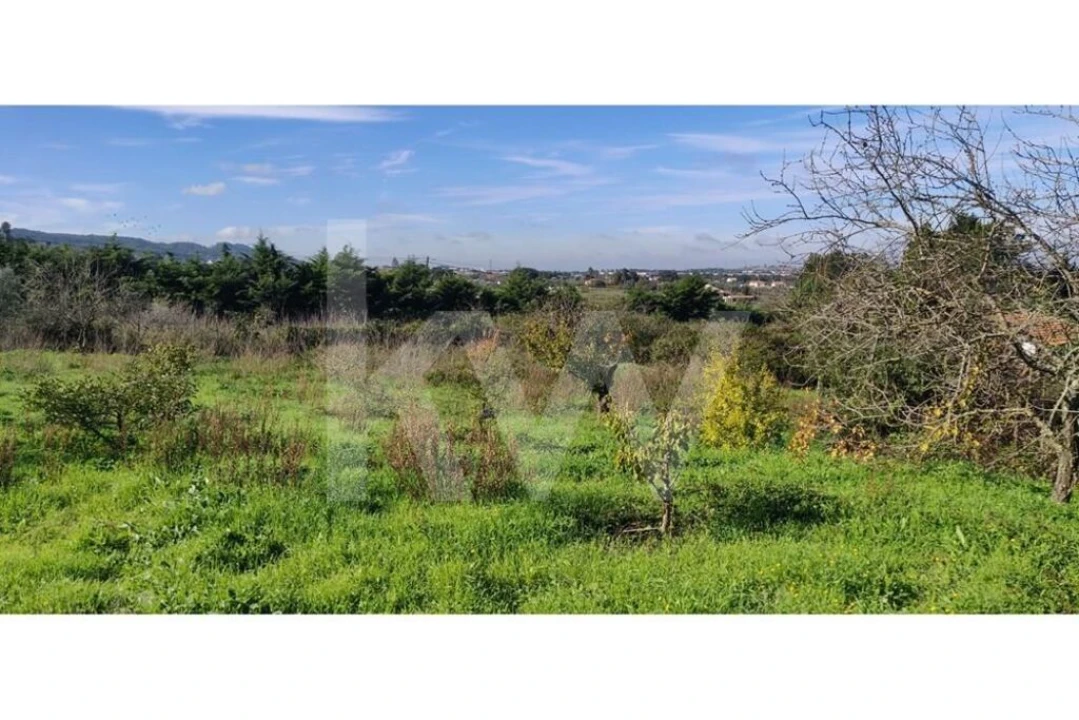 Terreno para Venda em Palmela Foto 12