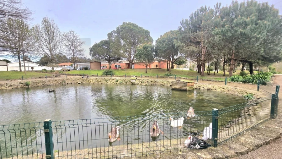 Terreno para Venda em São Roque Foto 8