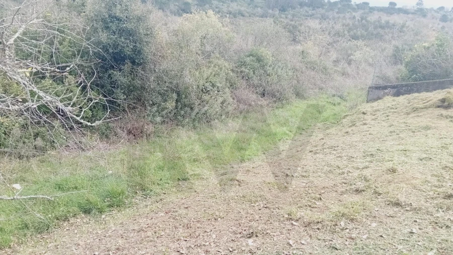 Terreno para Venda em Soure Foto 6
