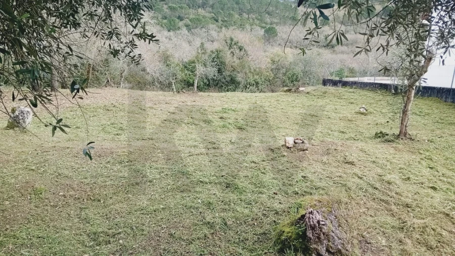 Terreno para Venda em Soure Foto 5