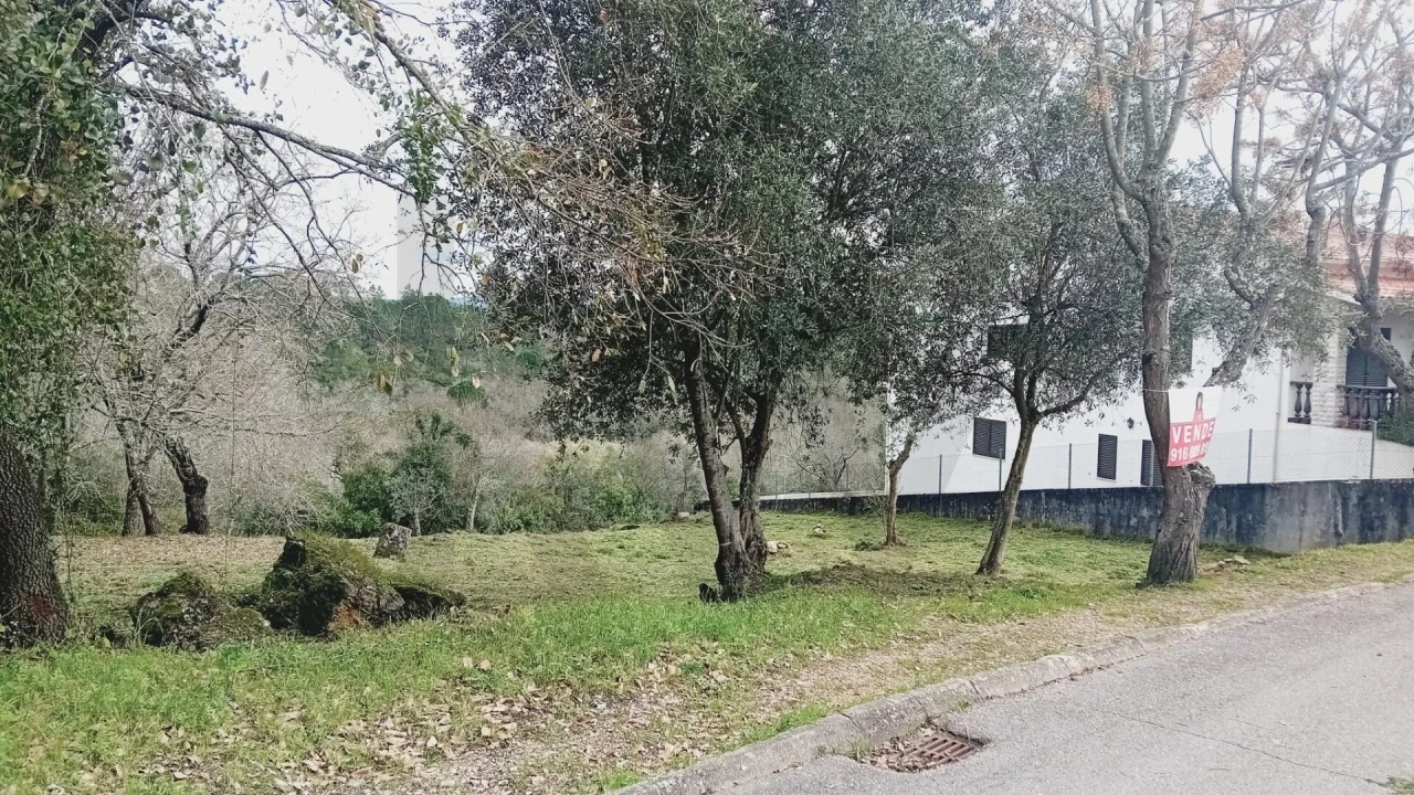 Terreno para Venda em Soure Foto 3