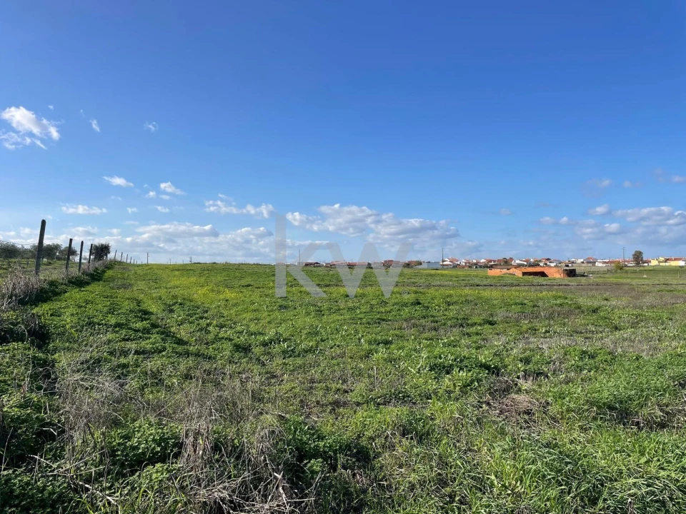 Terreno para Venda em Campo e Campinho Foto 6