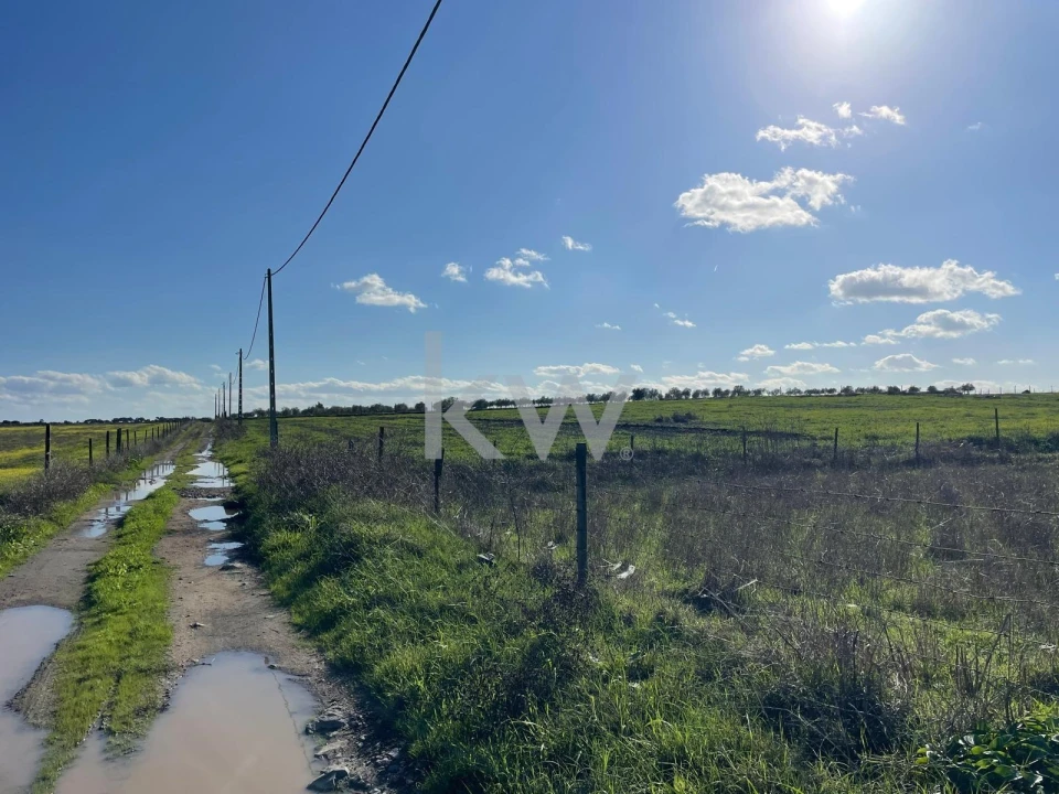 Terreno para Venda em Campo e Campinho Foto 2