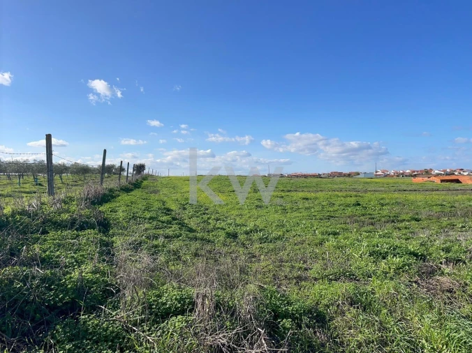 Terreno para Venda em Campo e Campinho Foto 5