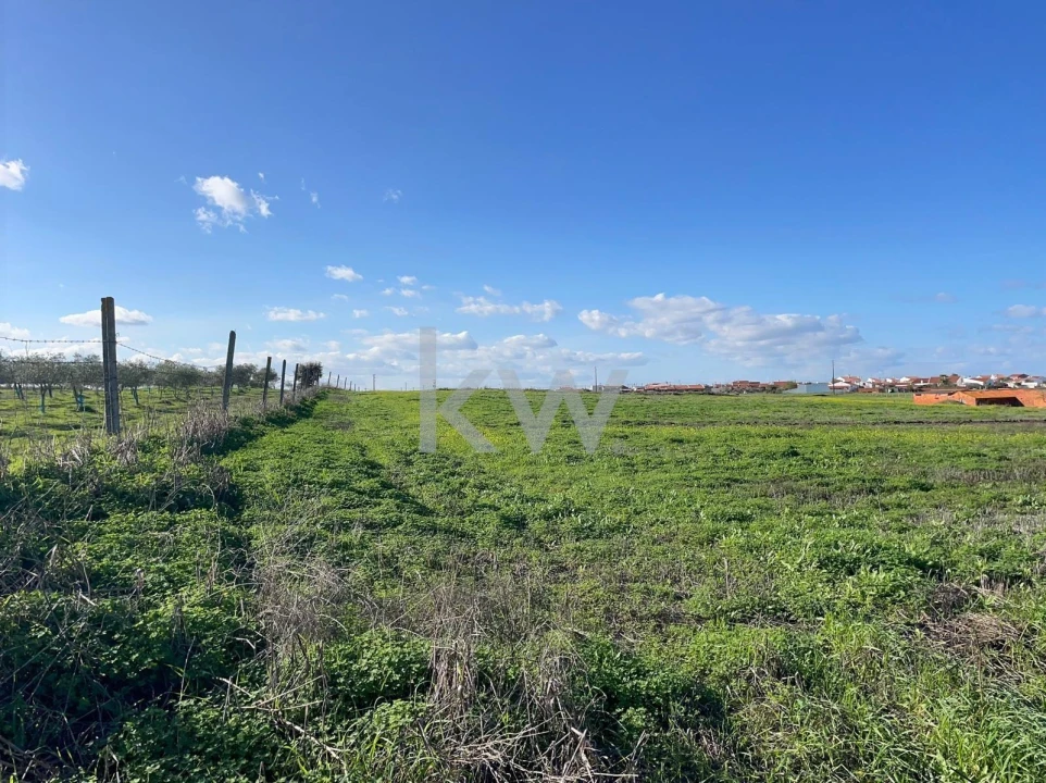 Terreno para Venda em Campo e Campinho Foto 5