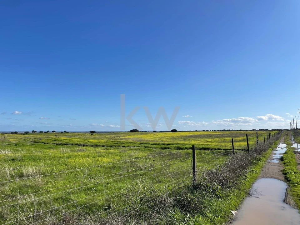 Terreno para Venda em Campo e Campinho Foto 1