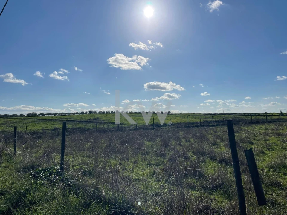 Terreno para Venda em Campo e Campinho Foto 4
