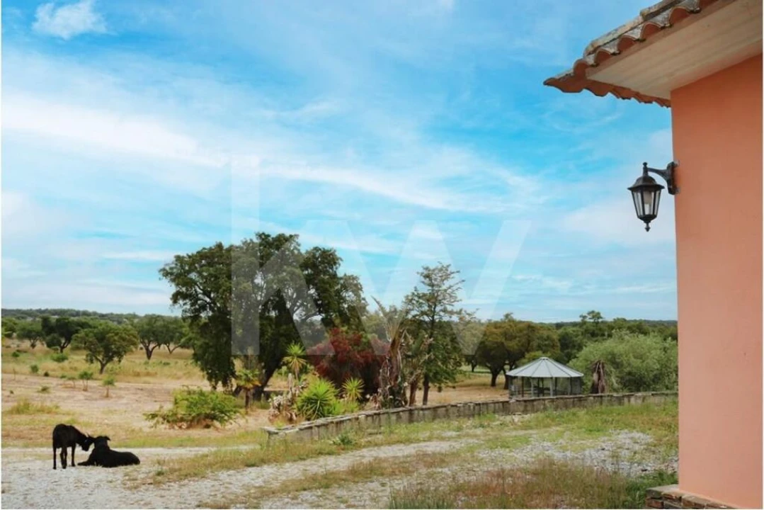 Quinta T5 para Venda em Vendas Novas Foto 19