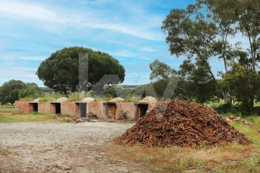 Quinta T5 para Venda em Vendas Novas Foto 13