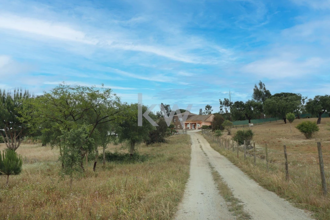 Quinta T5 para Venda em Vendas Novas Foto 30