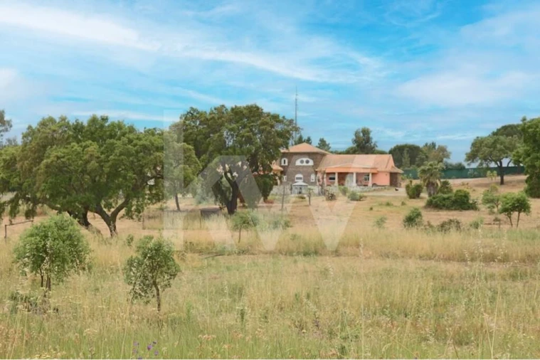 Quinta T5 para Venda em Vendas Novas Foto 1