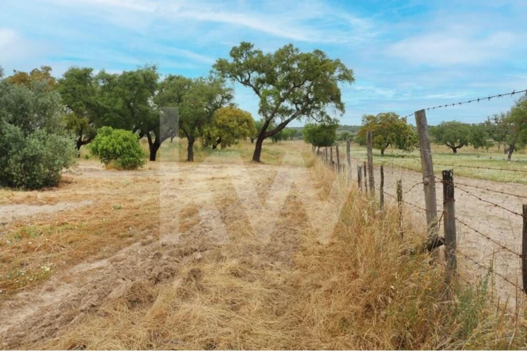 Quinta T5 para Venda em Vendas Novas Foto 14