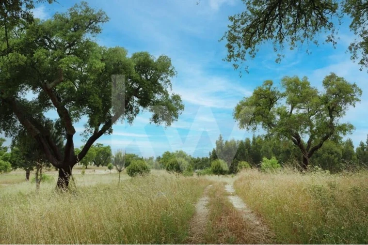 Quinta T5 para Venda em Vendas Novas Foto 22