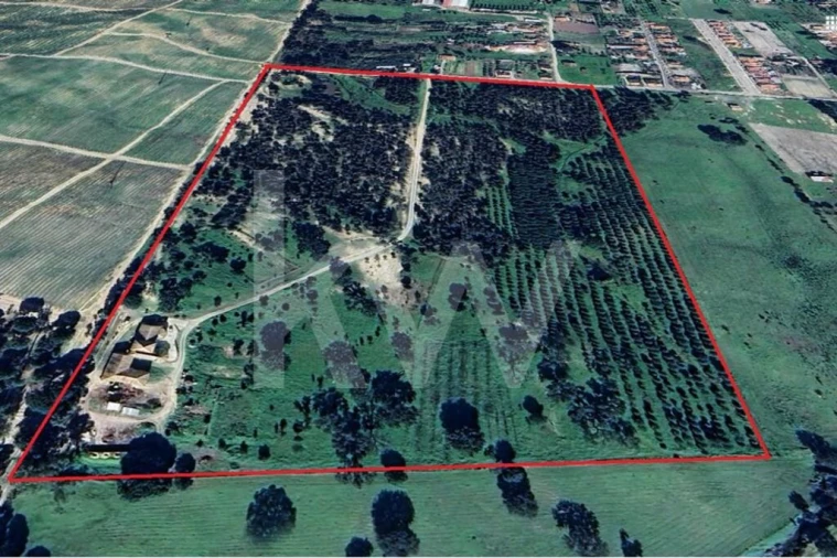 Quinta T5 para Venda em Vendas Novas Foto 5