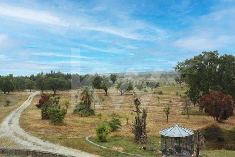 Quinta T5 para Venda em Vendas Novas Foto 9